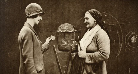 Une vieille femme italienne avec une perruche en cage, de Wonderful London, publié 1926-27